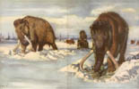 Mammoth tusk